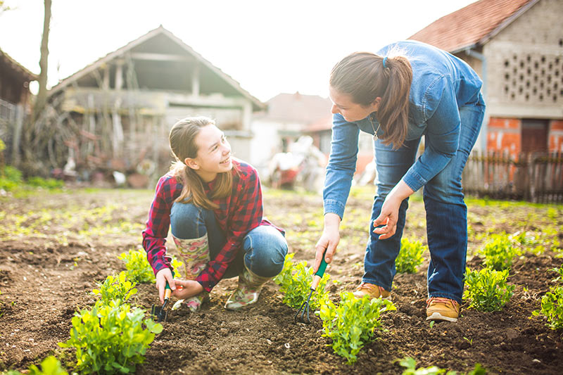 two people gardening in the sunshine