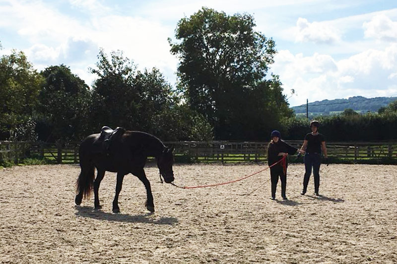 Two women leading a brown horse around a paddock